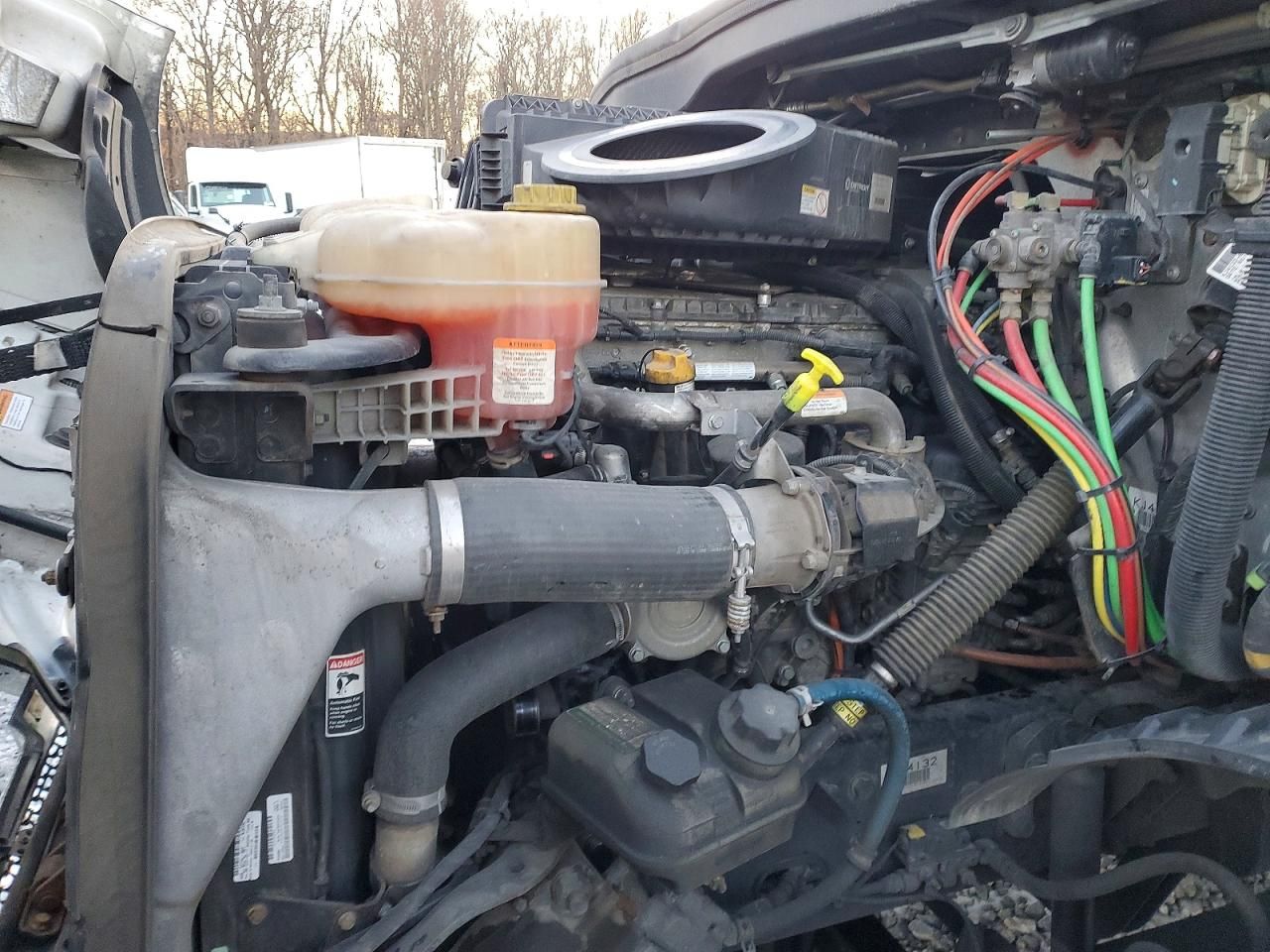 2019 Freightliner Cascadia 116