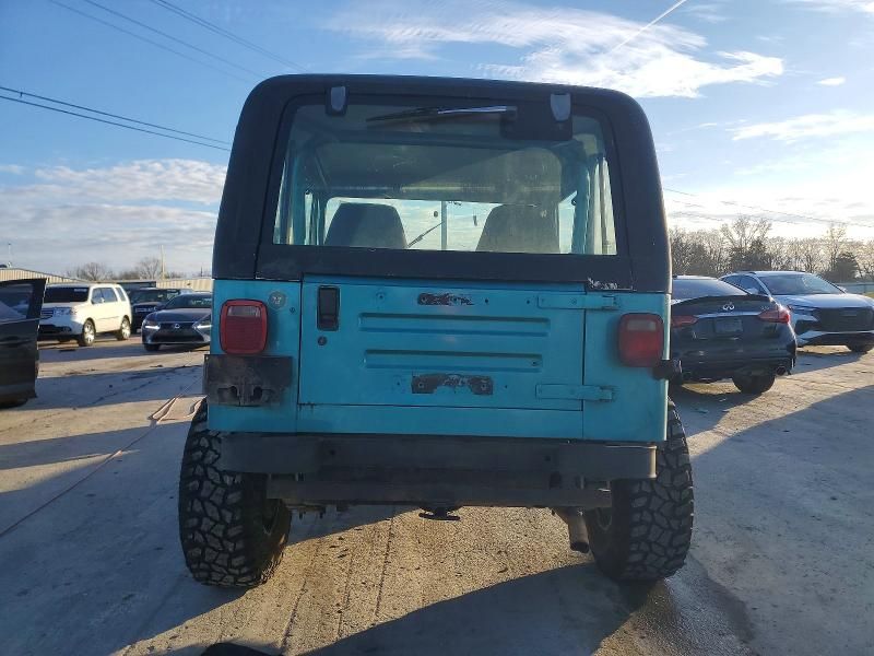 1995 Jeep Wrangler / yj s