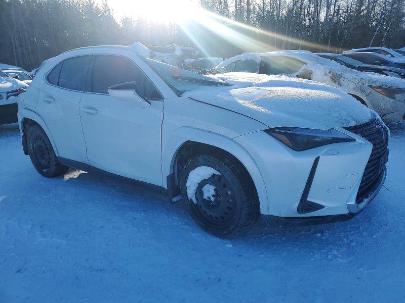 2025 Lexus Ux 300h Base
