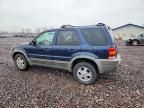 2002 Ford Escape XLT