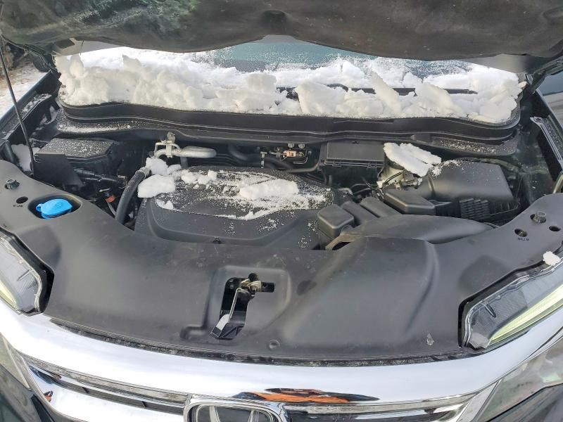 2019 Honda Pilot exl