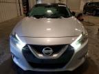 2017 Niss Maxima Platinum
