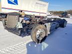 2023 Freightliner Cascadia 126 Truck Cab AND Chassis