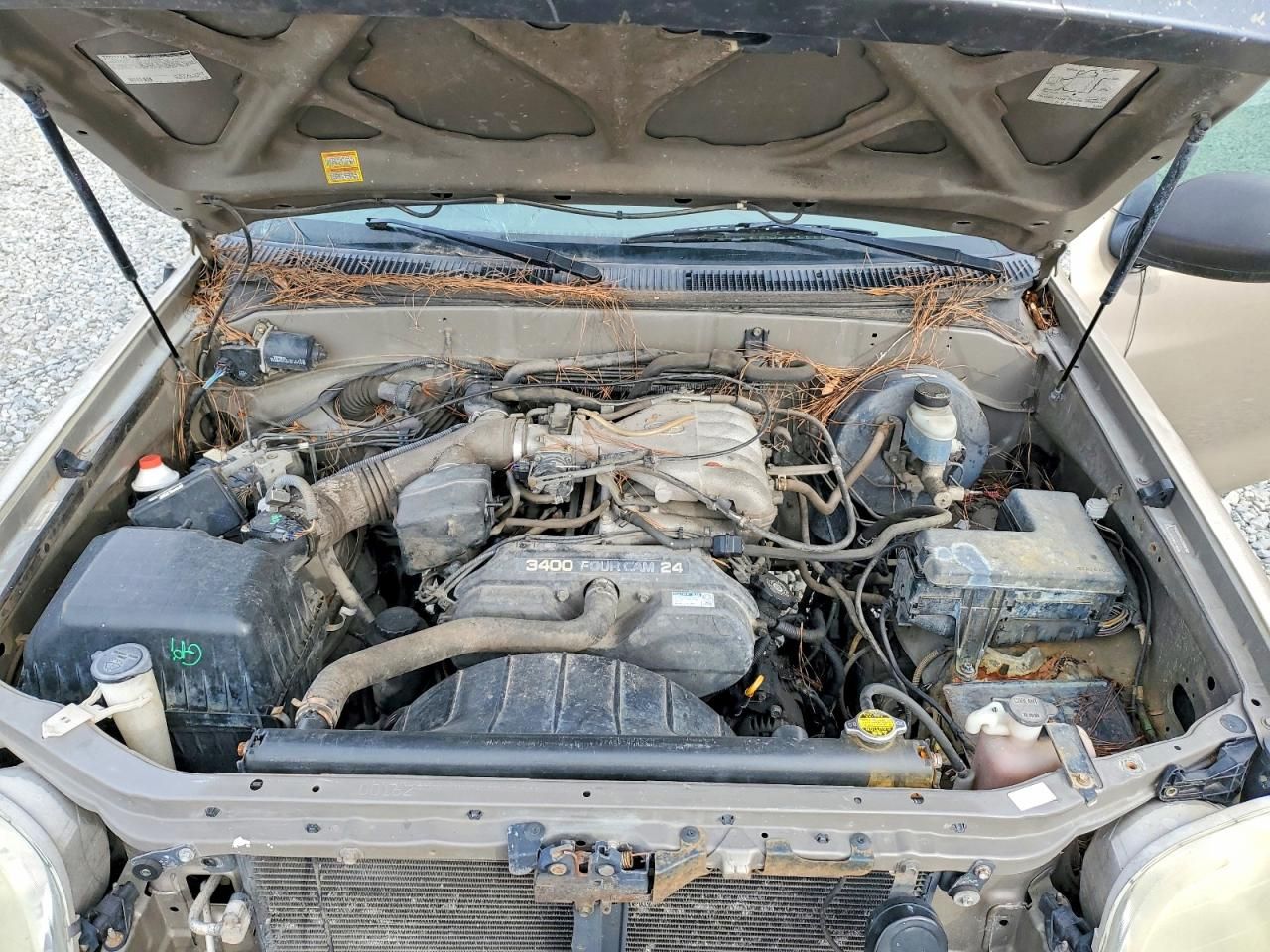 2004 Toyota Tundra Base