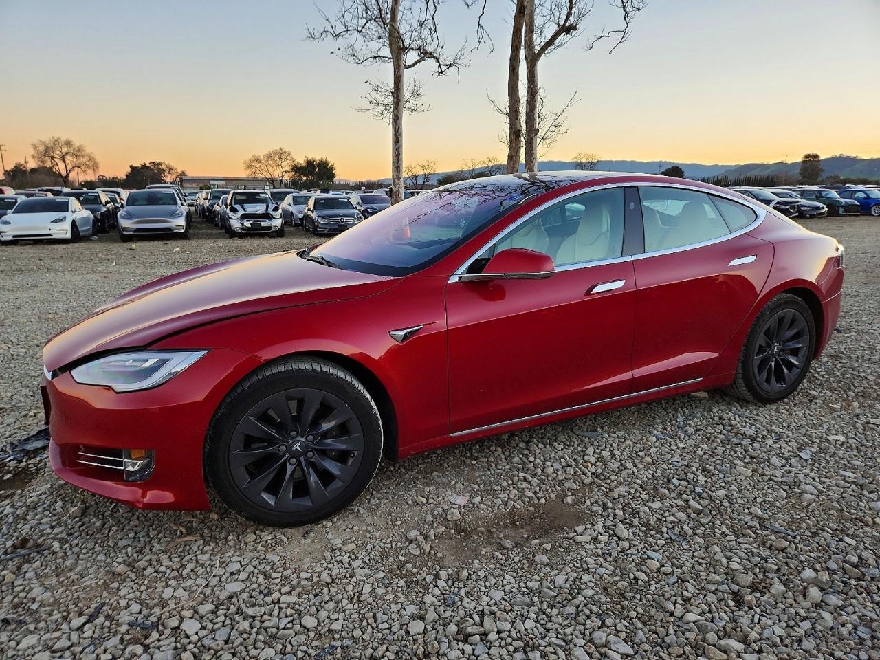 2019 Tesla Model s