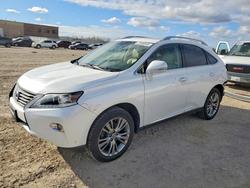 Lexus salvage cars for sale: 2013 Lexus Rx 350 Base