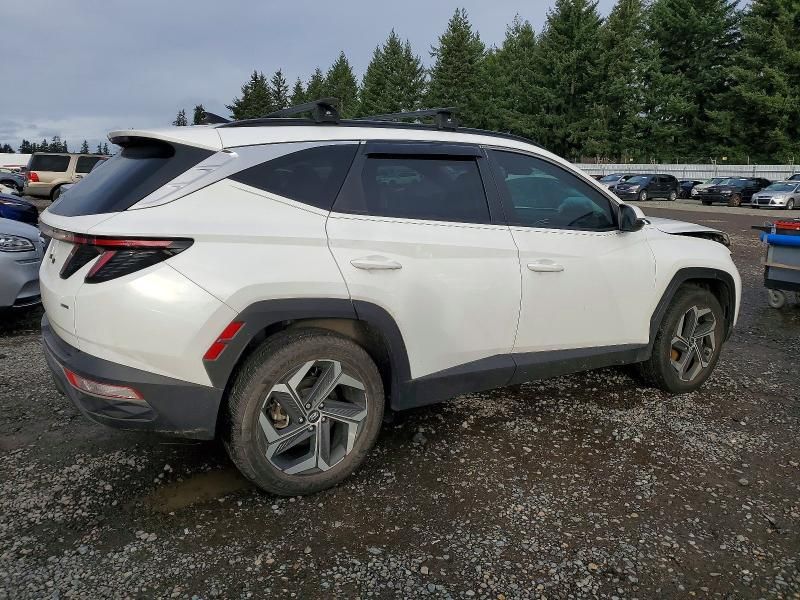 2023 Hyundai Tucson sel