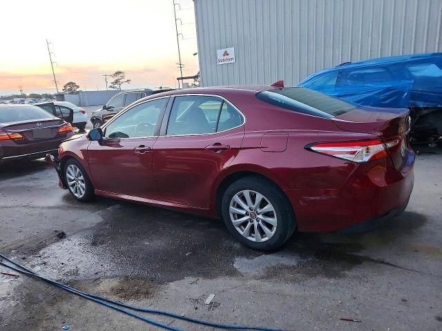 2019 Toyota Camry l