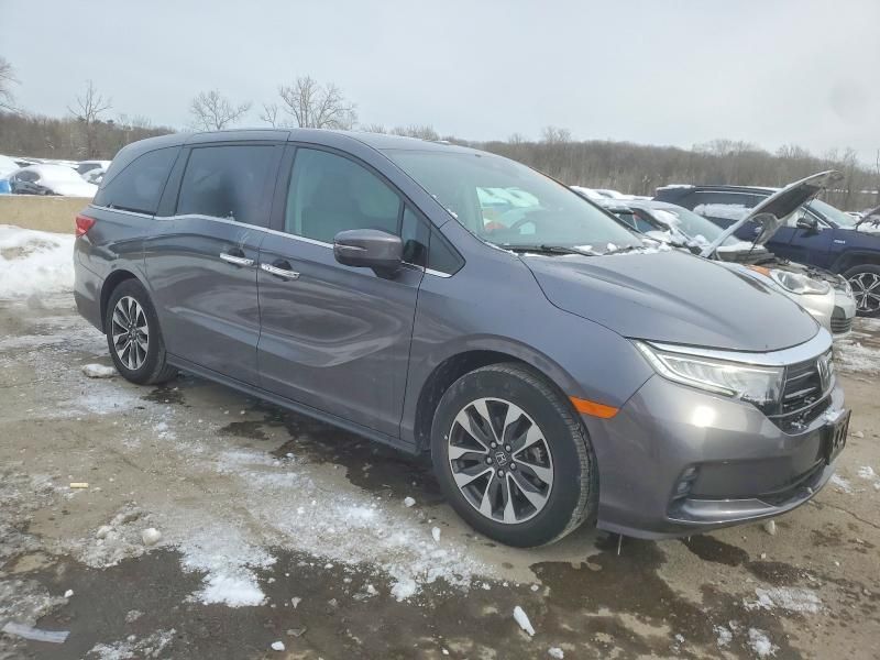 2024 Honda Odyssey exl
