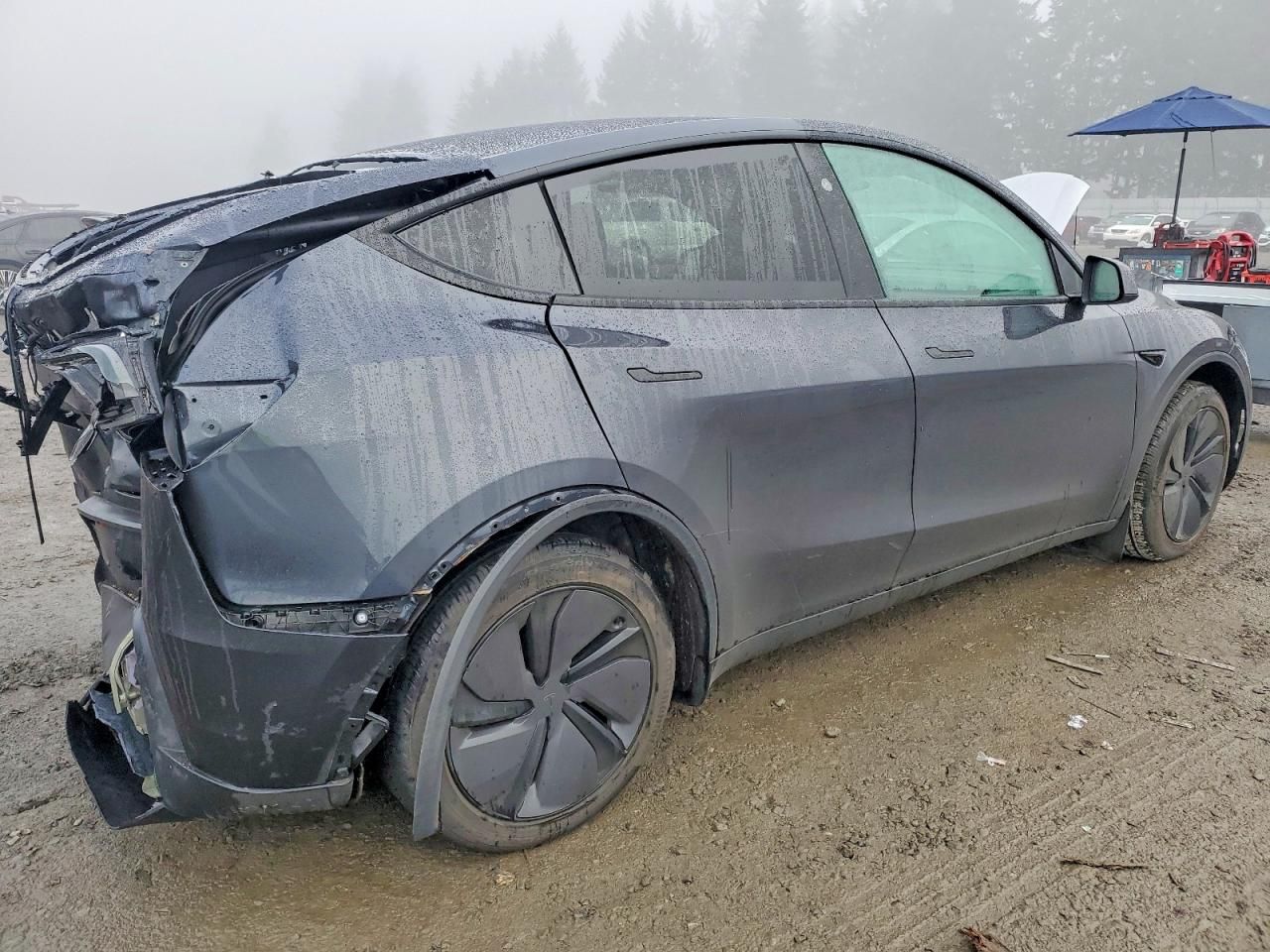2026 Tesla Model y