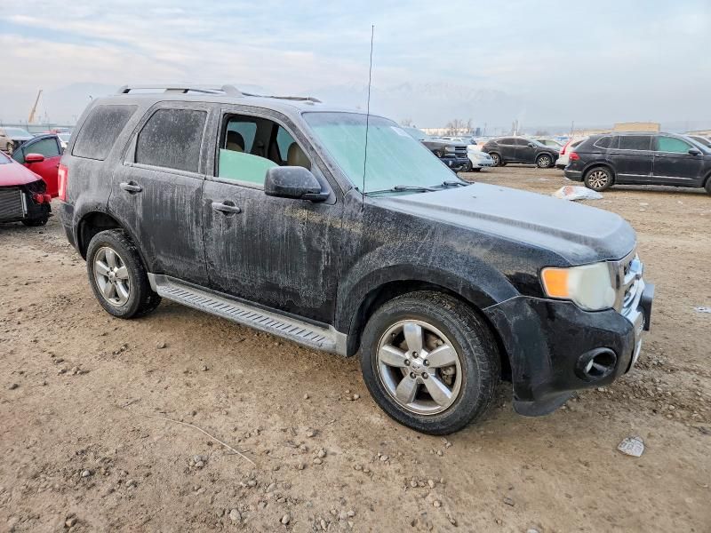 2010 Ford Escape Limited
