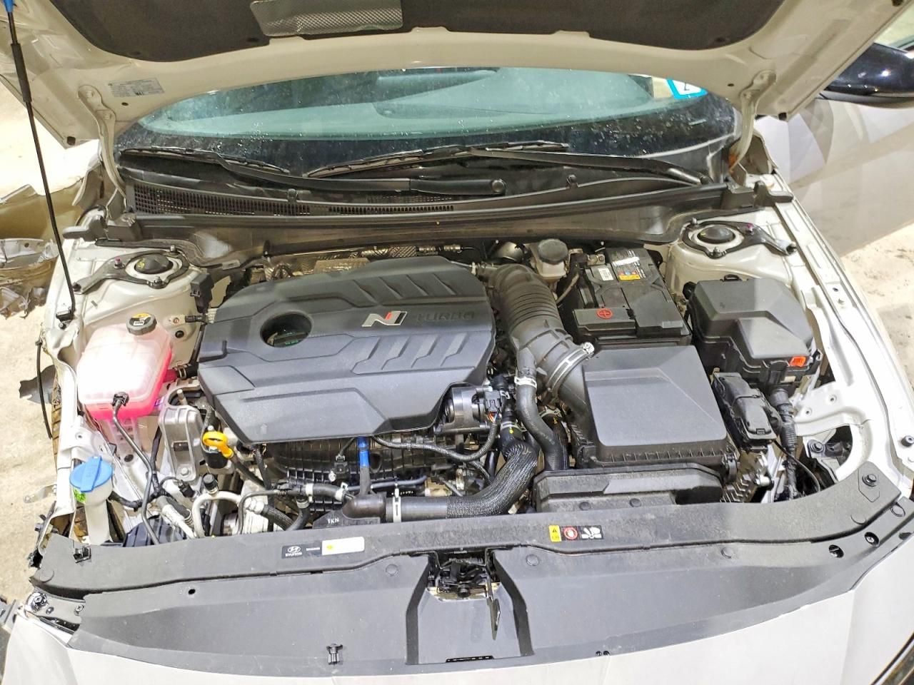 2025 Hyundai Elantra n