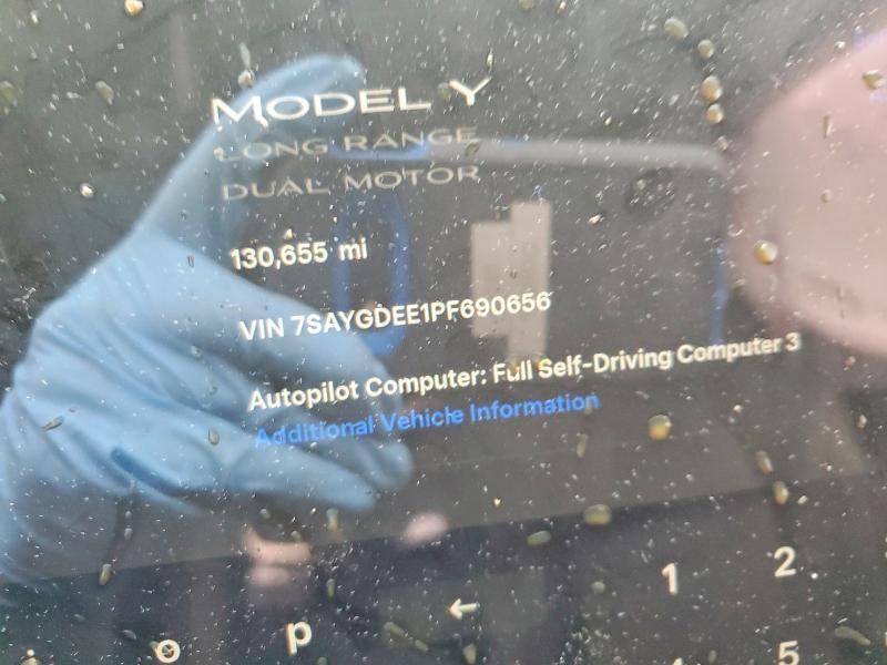 2023 Tesla Model y