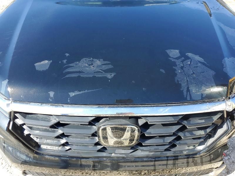 2025 Honda Pilot exl