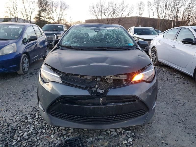 2019 Toyota Corolla l
