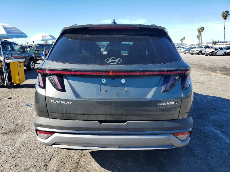 2025 Hyundai Tucson Limited