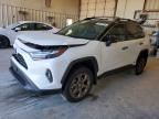 2024 Toyota Rav4 Woodland Edition