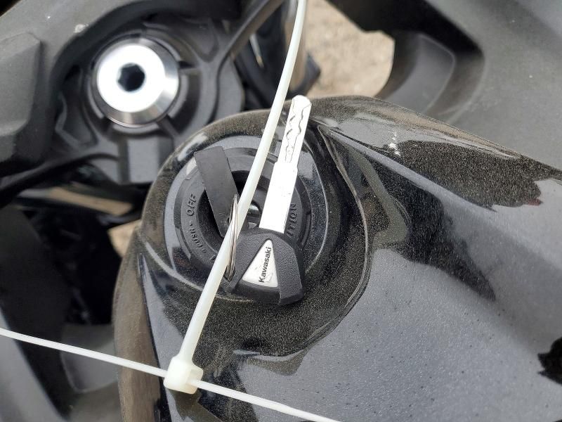 2025 Kawasaki EX650 P