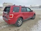 2010 Ford Escape Limited