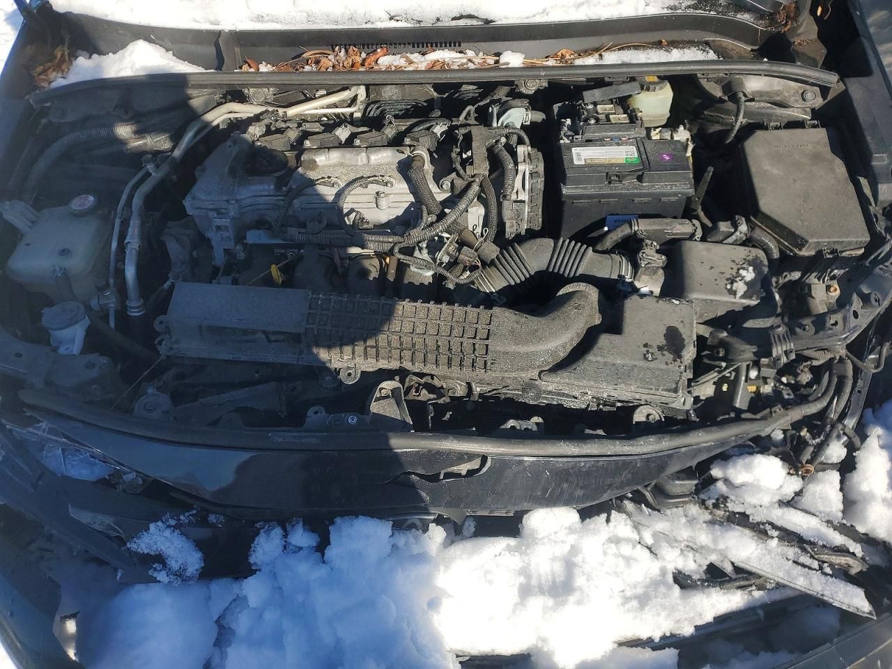 2020 Toyota Corolla le