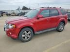 2010 Ford Escape Limited