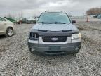 2005 Ford Escape xlt