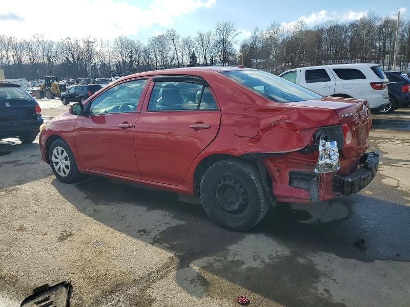 2010 Toyota Corolla Base