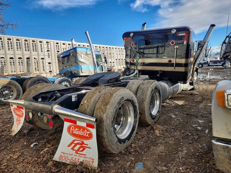 2019 Peterbilt 389