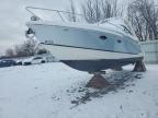 2008 Formula Boat