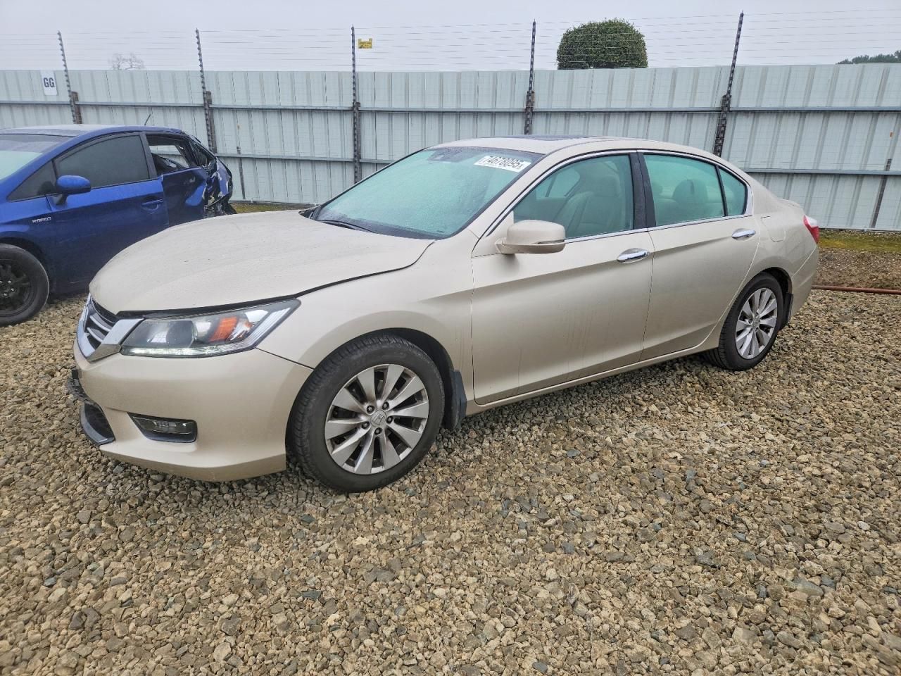 2015 Honda Accord exl