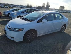 Honda Civic salvage cars for sale: 2010 Honda Civic