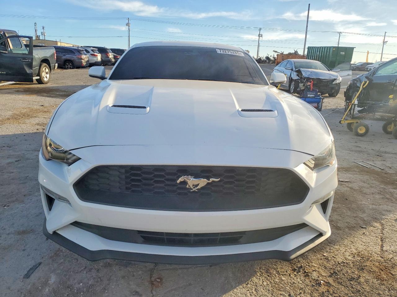 2019 Ford Mustang