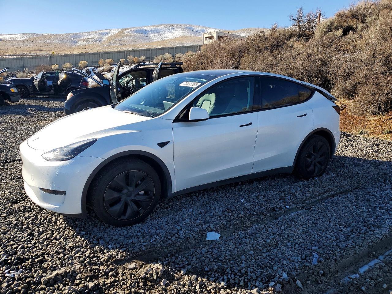 2024 Tesla Model y