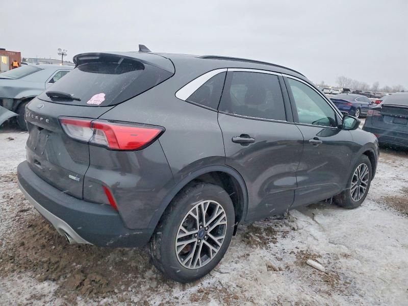 2020 Ford Escape sel