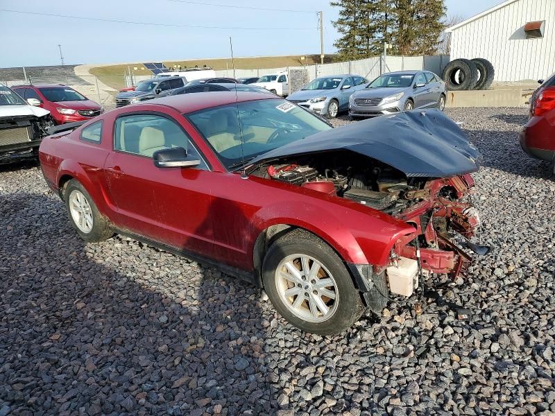 2005 Ford Mustang