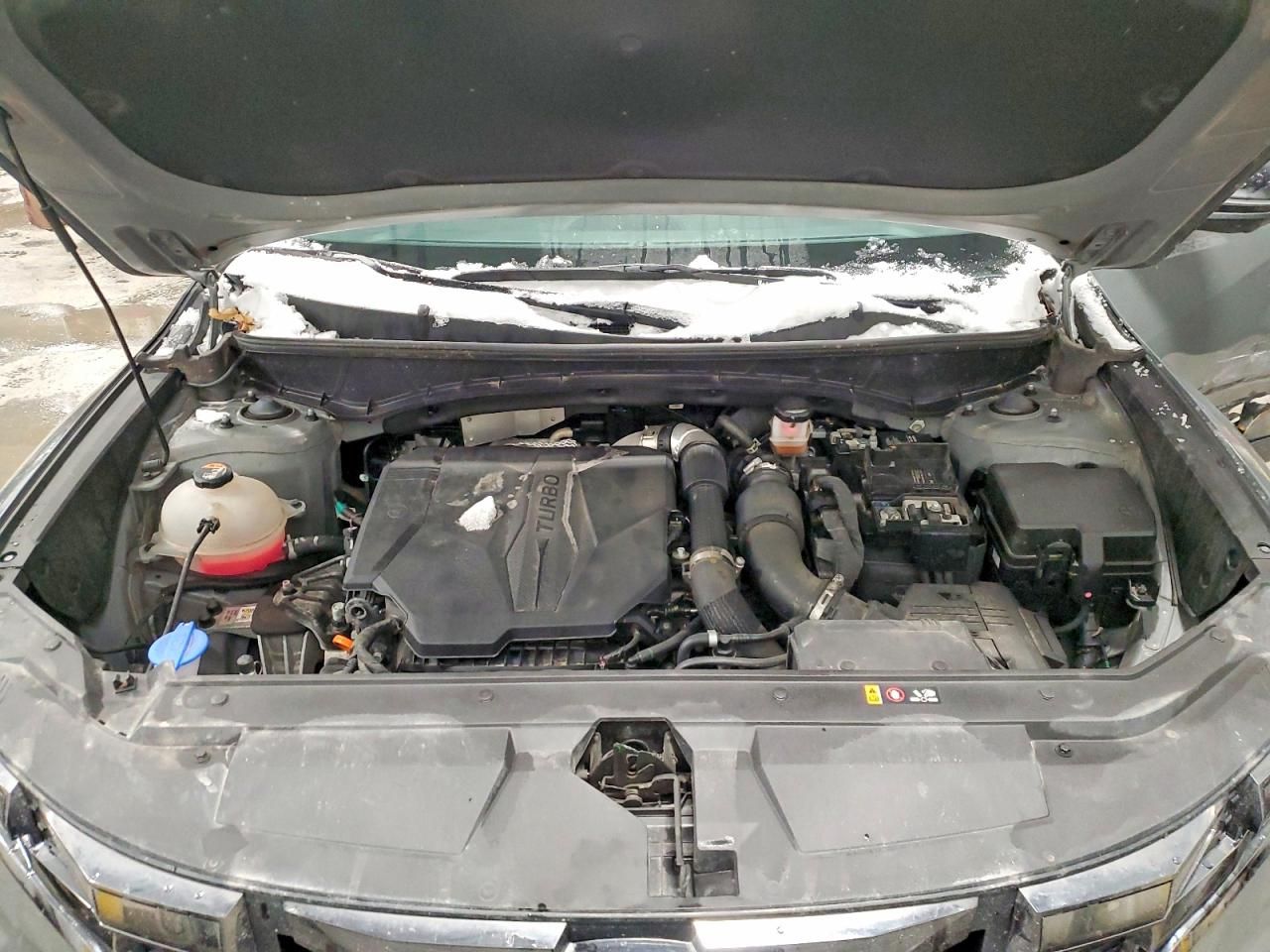 2024 Hyundai Santa Cruz Limited