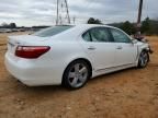 2010 Lexus Ls 460