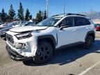 2024 Toyota Rav4 trd off Road