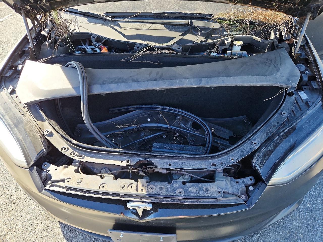 2019 Tesla Model x