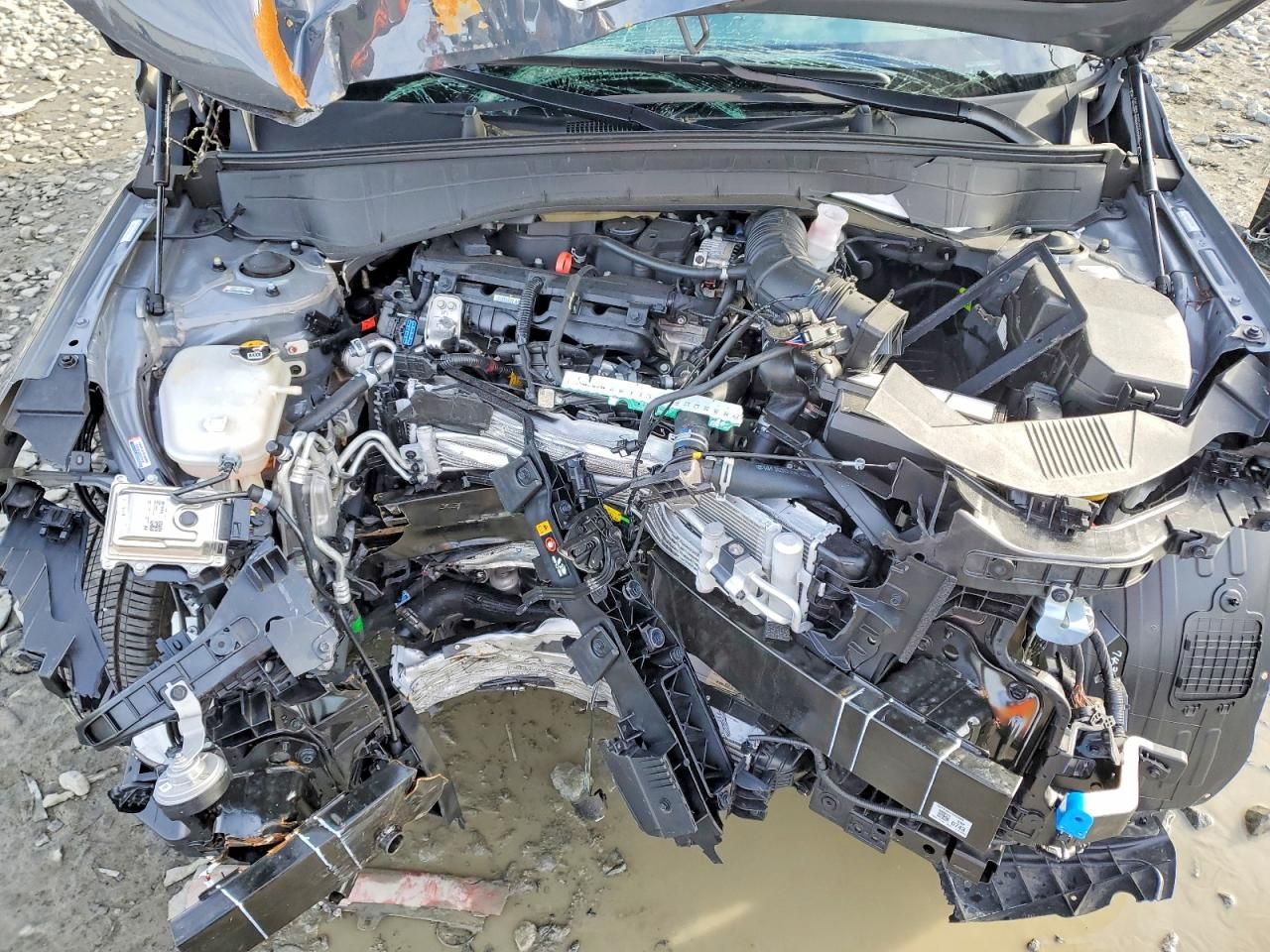 2025 Hyundai Kona Limited