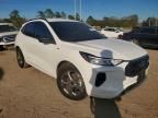 2024 Ford Escape st Line