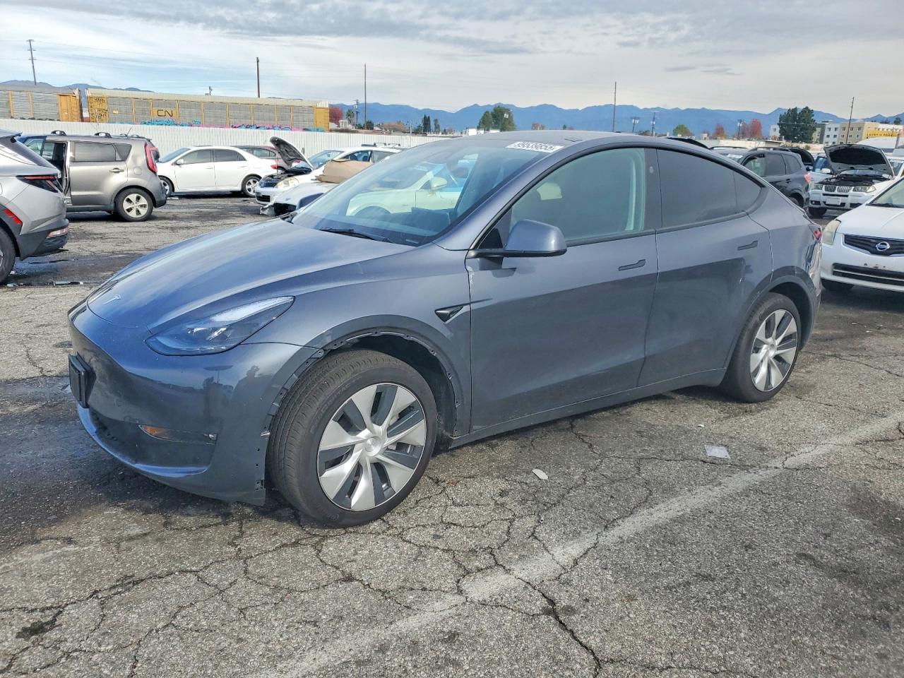 2023 Tesla Model y