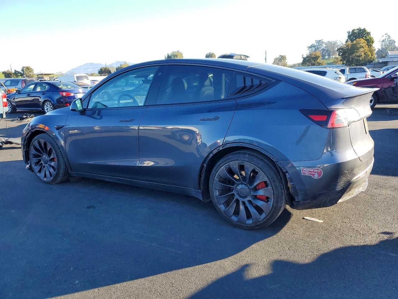 2023 Tesla Model y