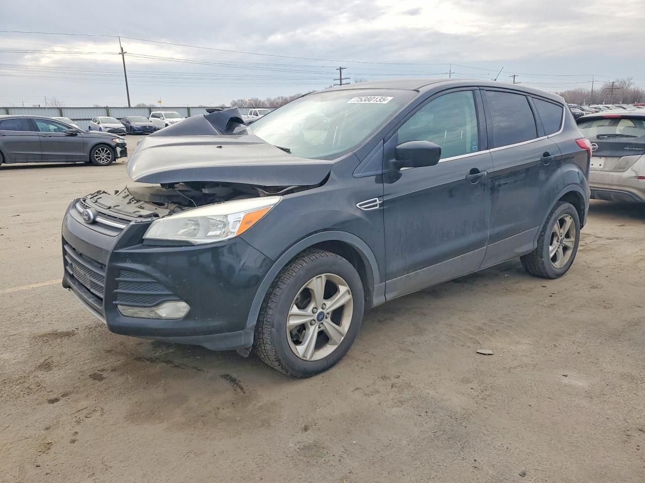 2013 Ford Escape se