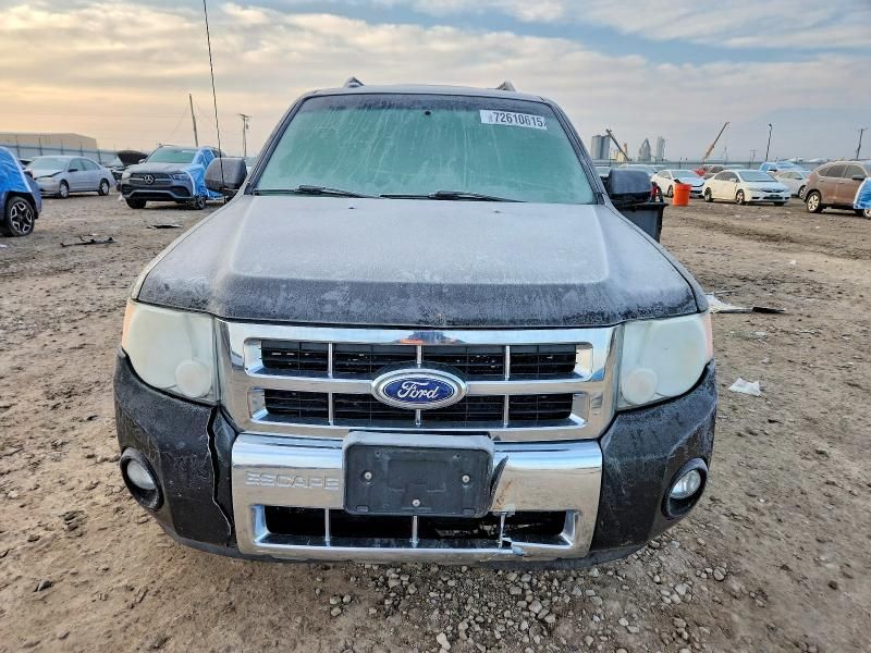 2010 Ford Escape Limited
