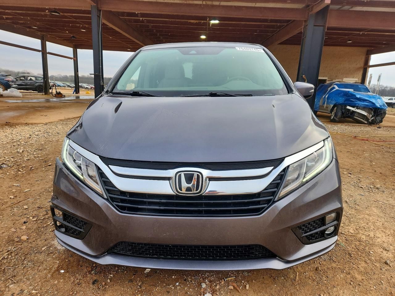 2019 Honda Odyssey exl