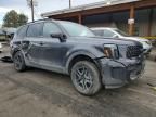 2025 KIA Telluride sx