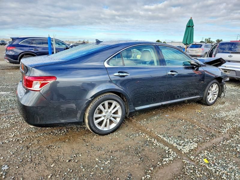 2010 Lexus Es 350
