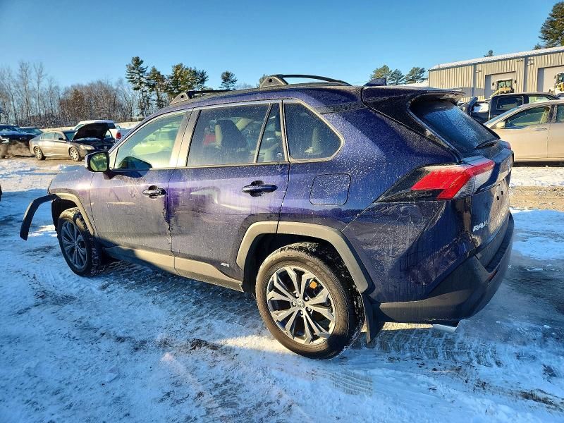 2025 Toyota Rav4 xle Premium