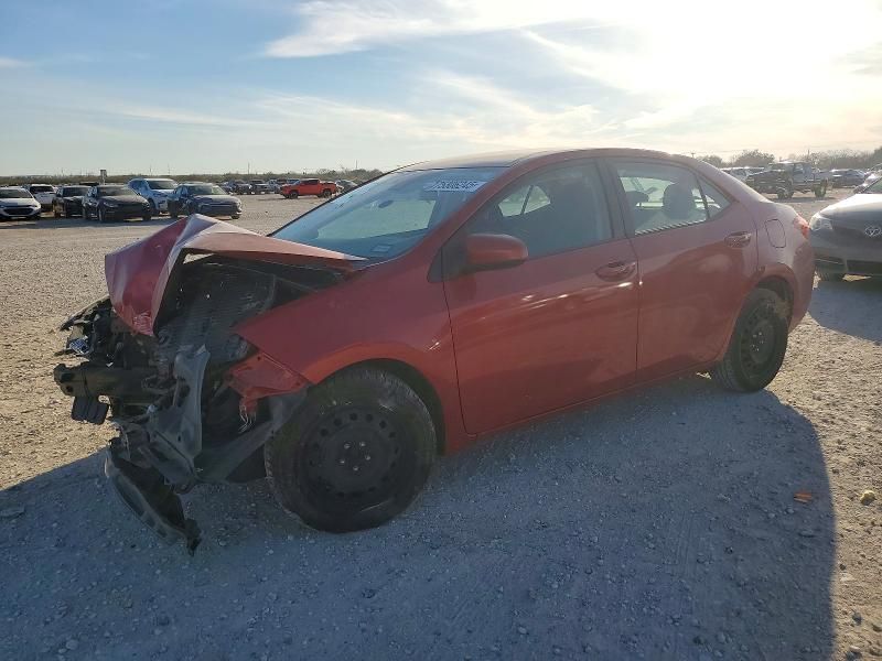 2019 Toyota Corolla l